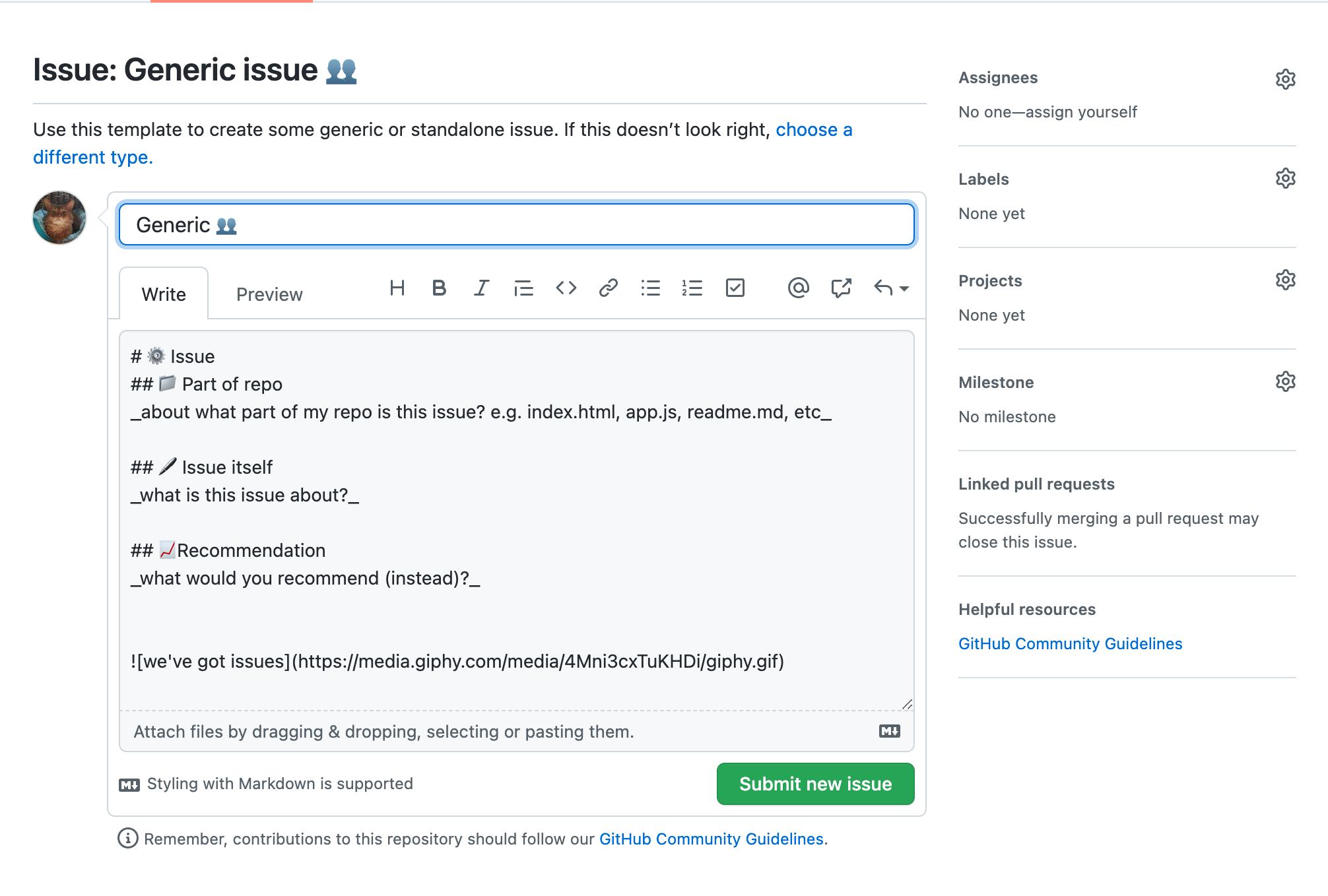 screenshot of our issue template