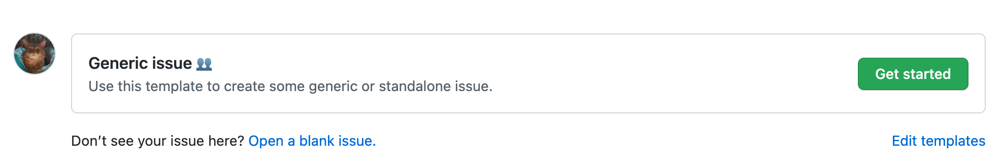 screenshot of our issue template